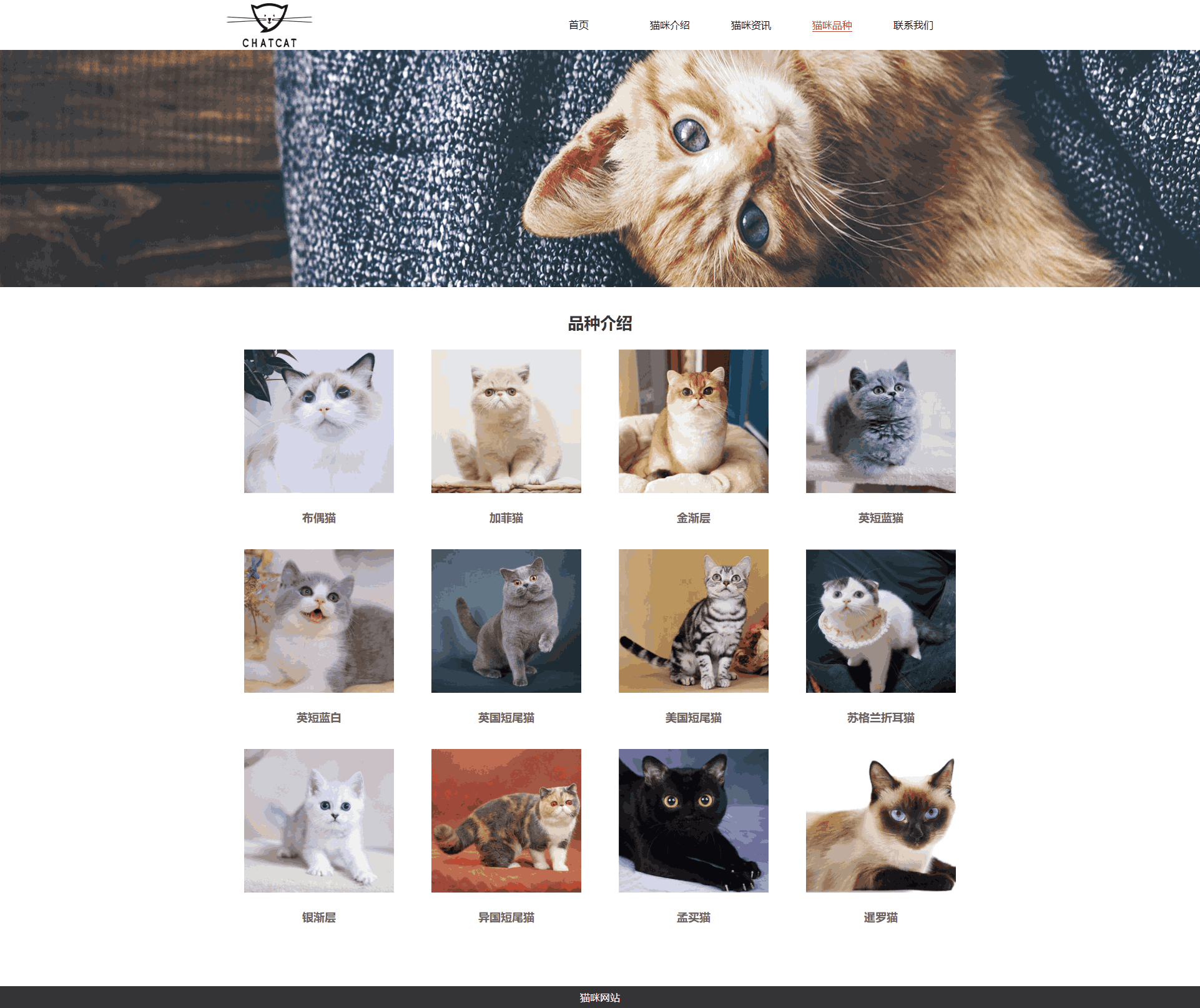 可爱猫咪网页模板