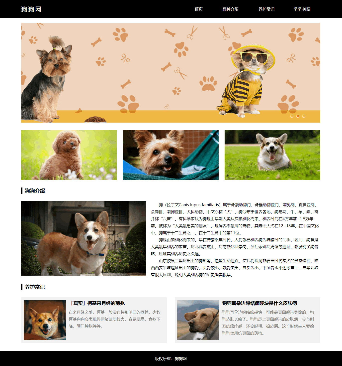 狗狗网.png