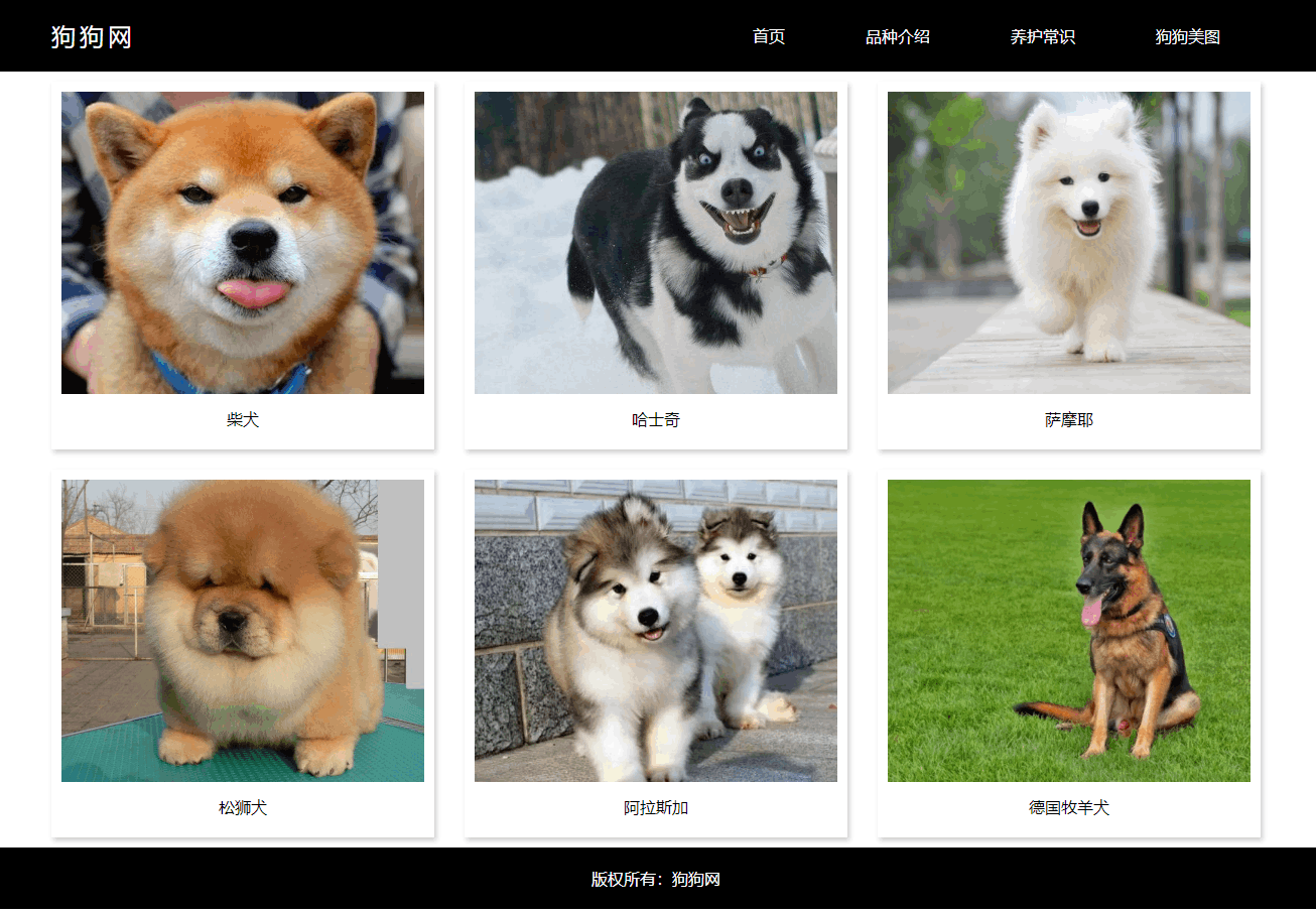 狗狗网1.png