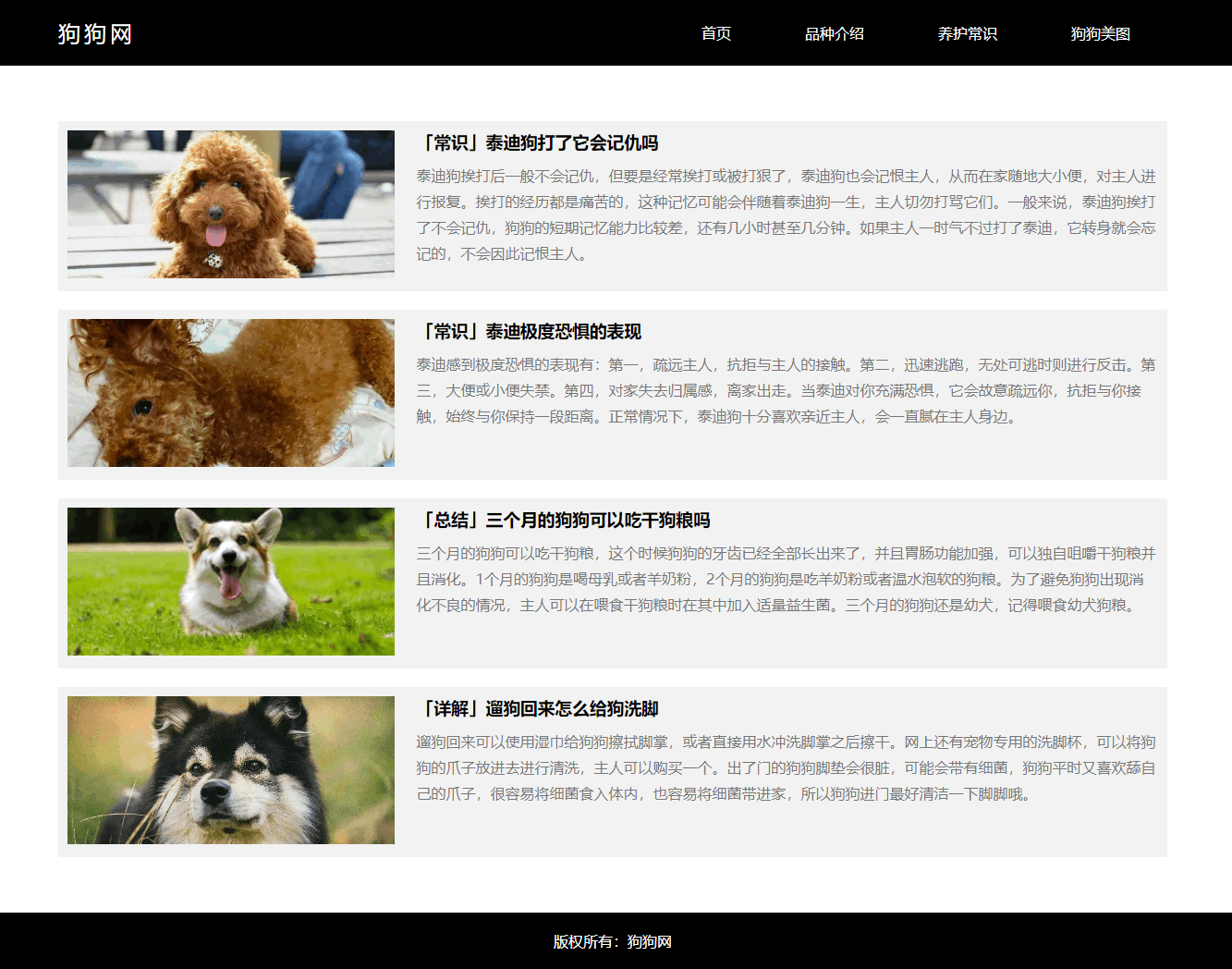 狗狗网2.png