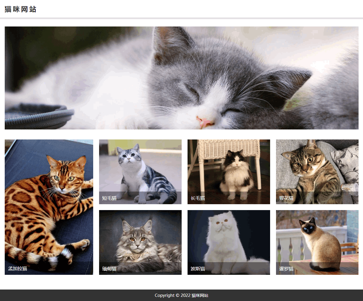 【html+css】一页猫咪网站代码带注释