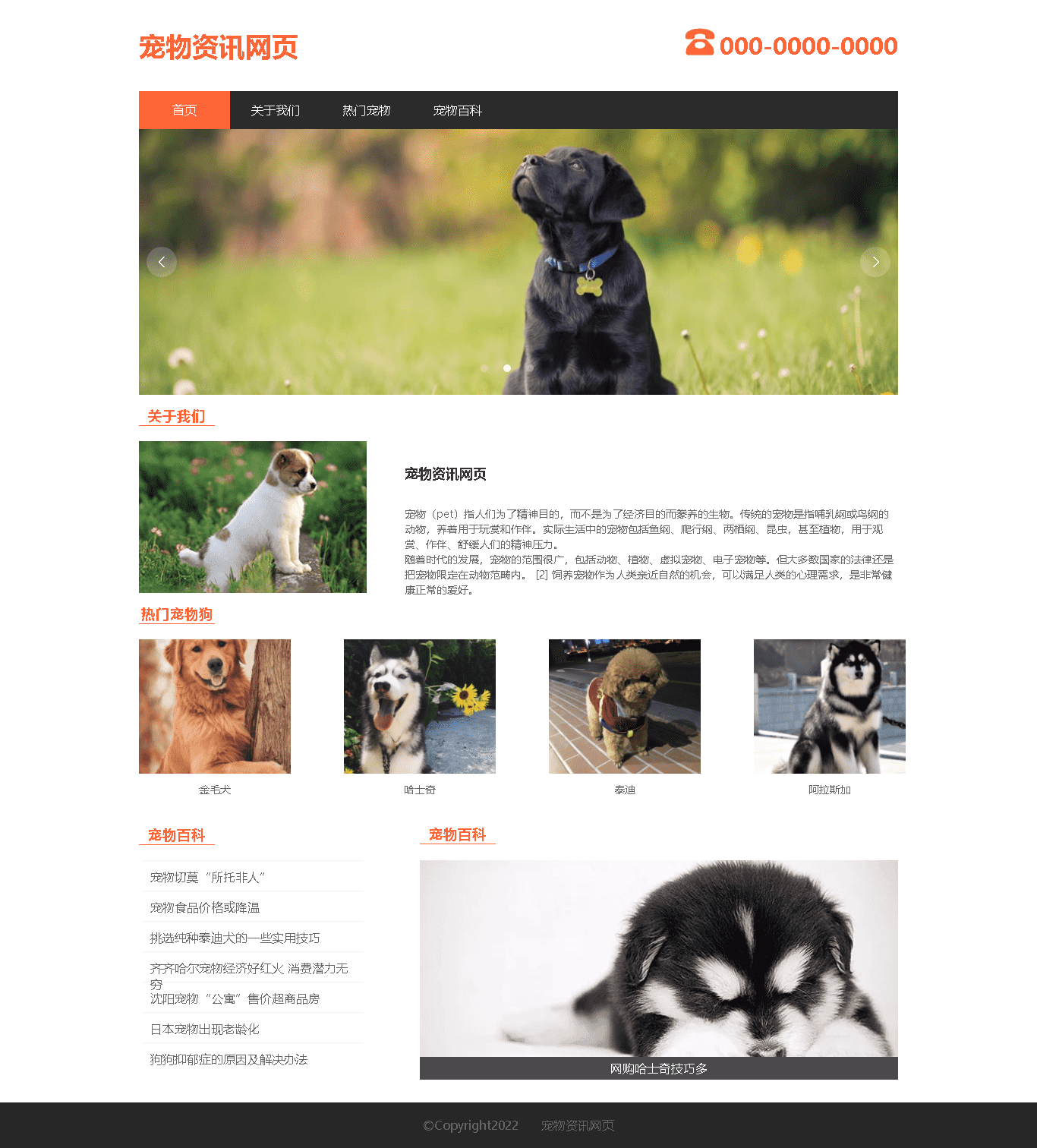 【动物类】html+css+js 4页动物资讯网页