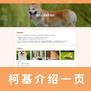 【html+css】柯基犬一页 简单网页作业 双版本 带注释版本 纯净版